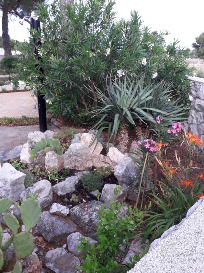 Holiday Home Novalja Exterior photo